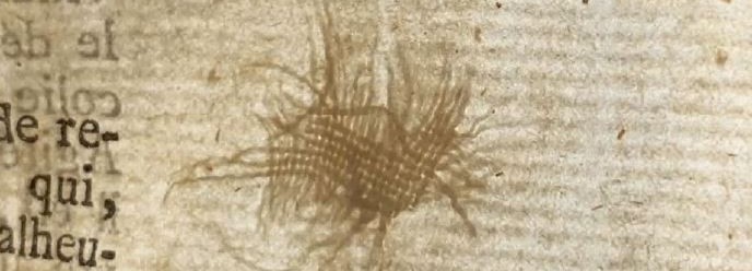 Fibres et impuretés visibles dans une feuille de papier ancien